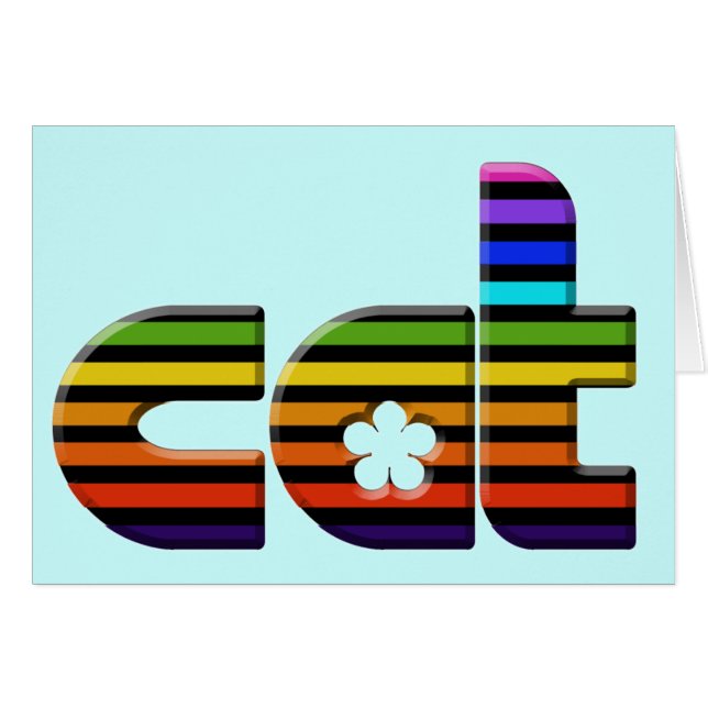 regenboogkat (Voorkant Horizontaal)