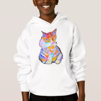 Regenboogkat