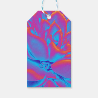 Regenboogkleur Succulent plant Cadeaulabel