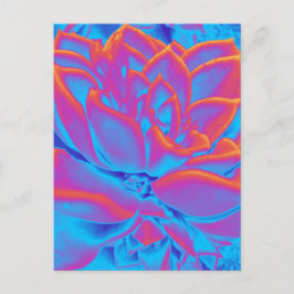 Regenboogkleur Succulent plant Feestdagenkaart