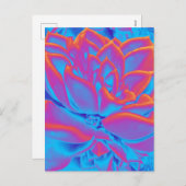 Regenboogkleur Succulent plant Feestdagenkaart (Voorkant / Achterkant)