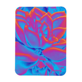 Regenboogkleur Succulent plant Magneet