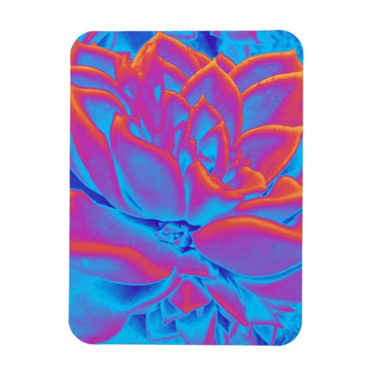Regenboogkleur Succulent plant Magneet (Verticaal)
