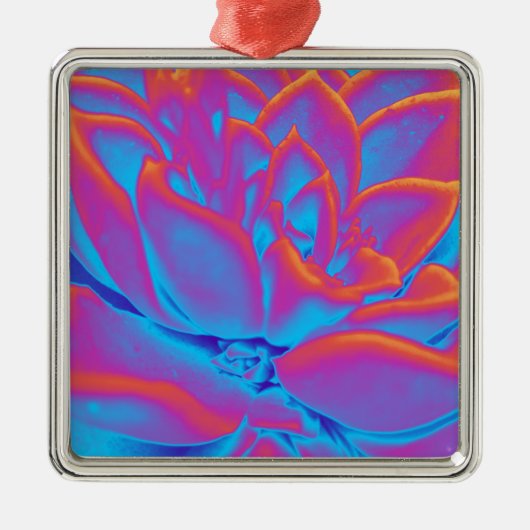 Regenboogkleur Succulent plant Metalen Ornament (Voorkant)