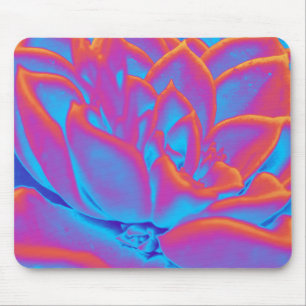 Regenboogkleur Succulent plant Muismat