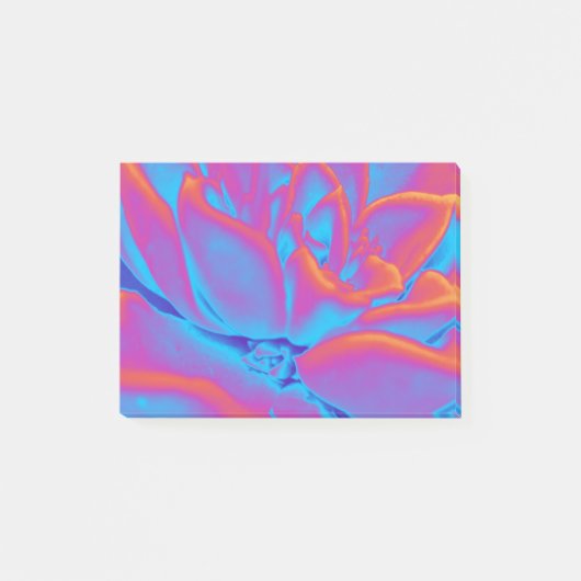 Regenboogkleur Succulent plant Post-it® Notes (Voorkant)