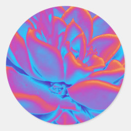 Regenboogkleur Succulent plant Ronde Sticker