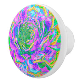 Regenboogkleuren Fiesta Succulent Sedum Rosette Keramische Knop