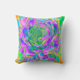 Regenboogkleuren Fiesta Succulent Sedum Rosette Kussen