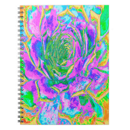 Regenboogkleuren Fiesta Succulent Sedum Rosette Notitieboek