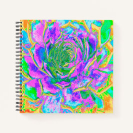 Regenboogkleuren Fiesta Succulent Sedum Rosette Notitieboek