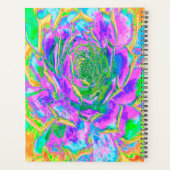 Regenboogkleuren Fiesta Succulent Sedum Rosette Planner (Achterkant)