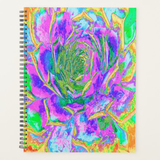 Regenboogkleuren Fiesta Succulent Sedum Rosette Planner (Voorkant)