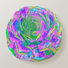 Regenboogkleuren Fiesta Succulent Sedum Rosette Rond Kussen