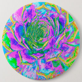 Regenboogkleuren Fiesta Succulent Sedum Rosette Ronde Button 6,0 Cm