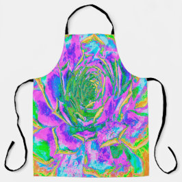 Regenboogkleuren Fiesta Succulent Sedum Rosette Schort