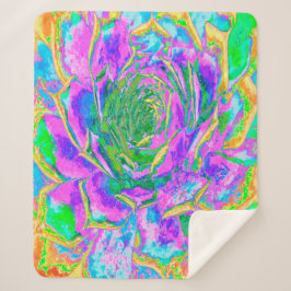 Regenboogkleuren Fiesta Succulent Sedum Rosette Sherpa Deken