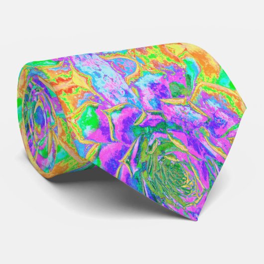 Regenboogkleuren Fiesta Succulent Sedum Rosette Stropdas (Opgerold)