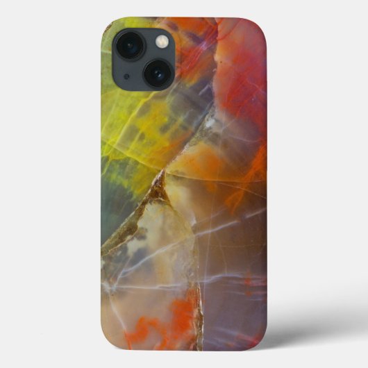 Regenboogkleurig versteend hout Case-Mate iPhone case (Achterkant)