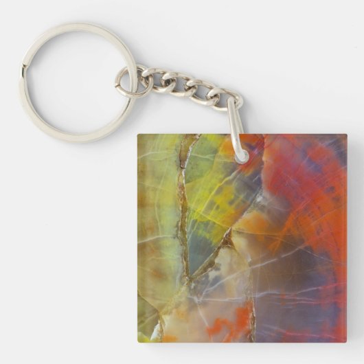 Regenboogkleurig versteend hout sleutelhanger (Voorkant)