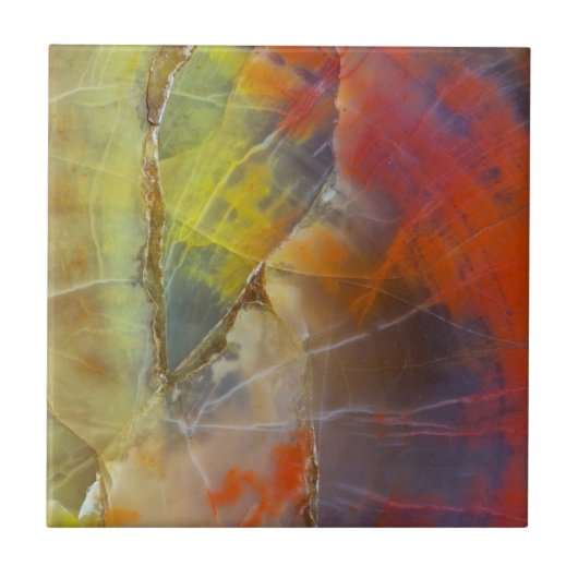 Regenboogkleurig versteend hout tegeltje (Voorkant)