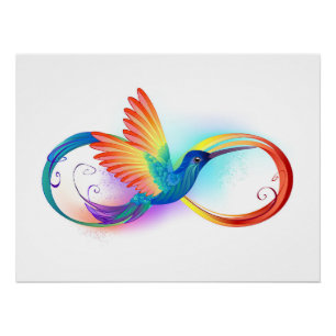 Regenboogkolibrie met oneindigheidssymbool perfect poster