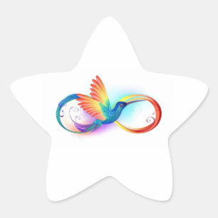Regenboogkolibrie met oneindigheidssymbool ster sticker