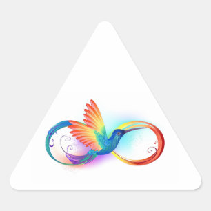 Regenboogkolibrie met oneindigheidssymbool sticker