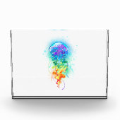 Regenboogkwal Fotoblokken (Voorkant)