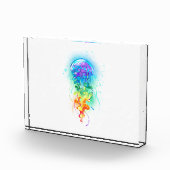 Regenboogkwal Fotoblokken (Rechts)