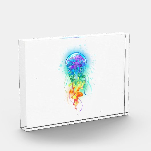 Regenboogkwal Fotoblokken (Links)