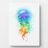 Regenboogkwal Fotoplaat (voorkant)