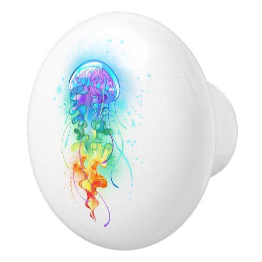 Regenboogkwal Keramische Knop (Rechts)