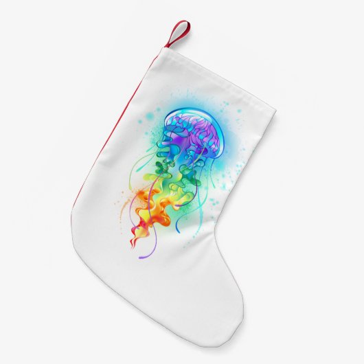 Regenboogkwal Kleine Kerstsok (Voorkant (Hangend))