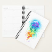 Regenboogkwal Planner (Display)