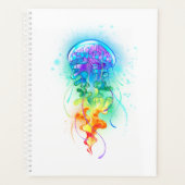 Regenboogkwal Planner (Voorkant)