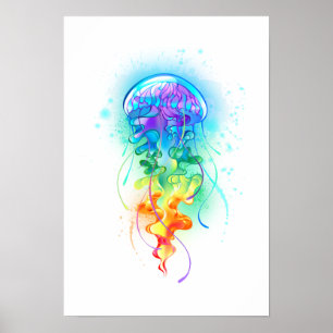 Regenboogkwal Poster