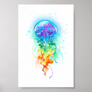 Regenboogkwal Poster