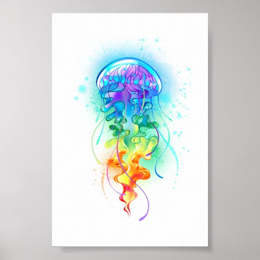 Regenboogkwal Poster (Voorkant)