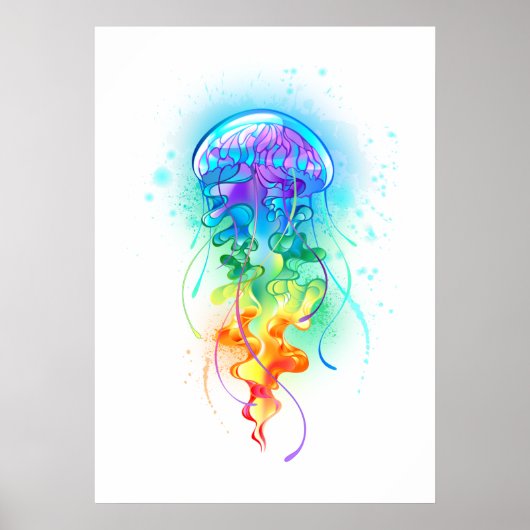 Regenboogkwal Poster (Voorkant)