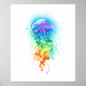 Regenboogkwal Poster (Voorkant)