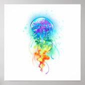 Regenboogkwal Poster (Voorkant)