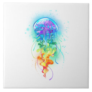 Regenboogkwal Tegeltje