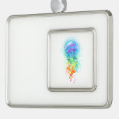 Regenboogkwal Verzilverd Omlijst Ornament (Links)