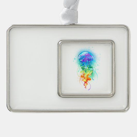 Regenboogkwal Verzilverd Omlijst Ornament (Voorkant)