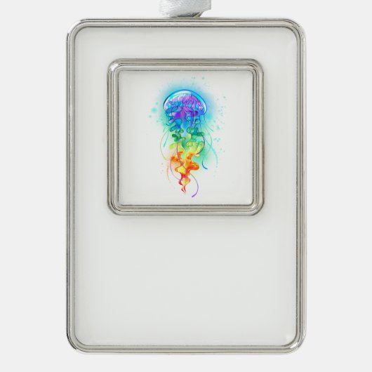 Regenboogkwal Verzilverd Omlijst Ornament (Voorkant)
