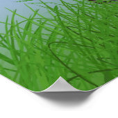 Regenbooglicht Poster (Hoek)