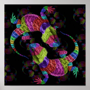 Regenboogliften Poster