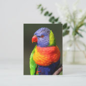 Regenbooglori Briefkaart (Staand voorkant)