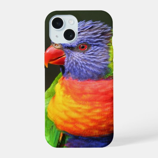 Regenbooglori iPhone 15 Case (Achterkant)